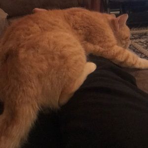 Meet your Posher, Jazmine